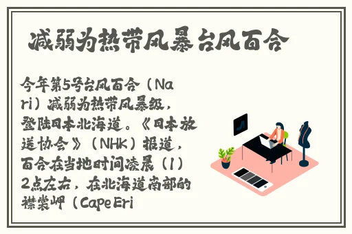 卡一卡二卡三在线